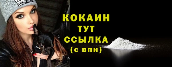 соль ск Горнозаводск